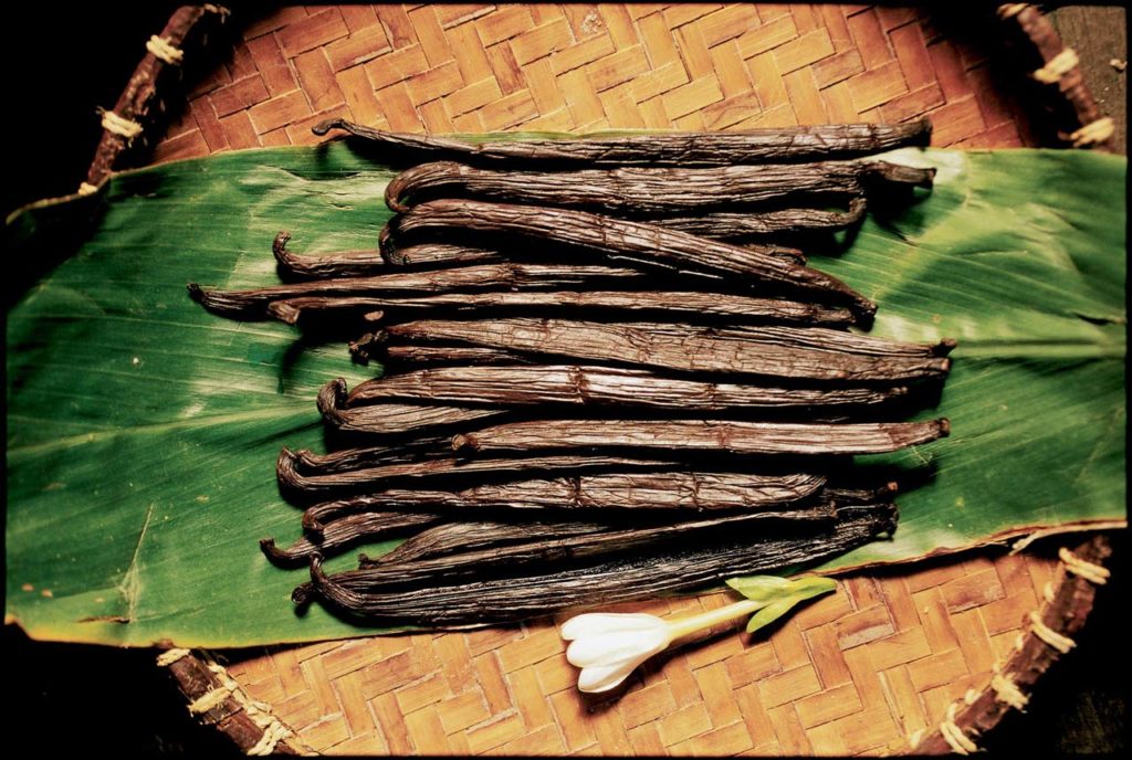 Vanilla Plantation Tour (Tahaa)