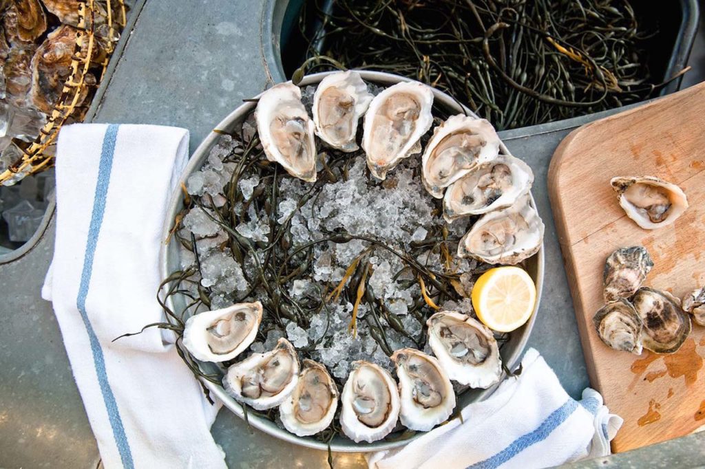 Island Oyster3lexander_pincus-jpg