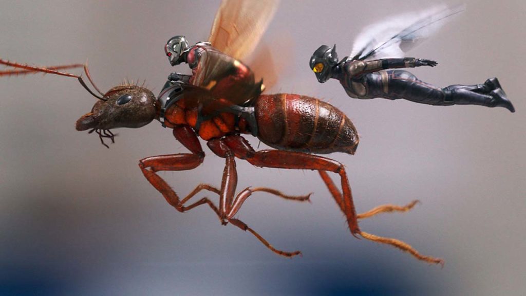 Ant-Man-and-the-Wasp2