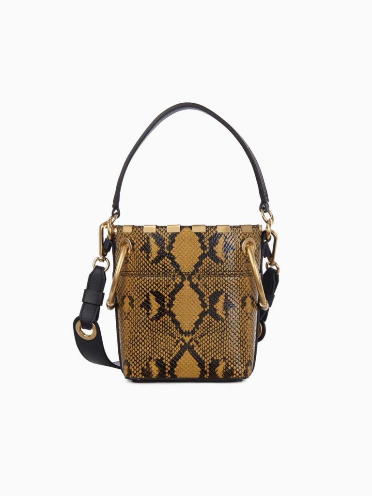 CHLOE MINI ROY_1