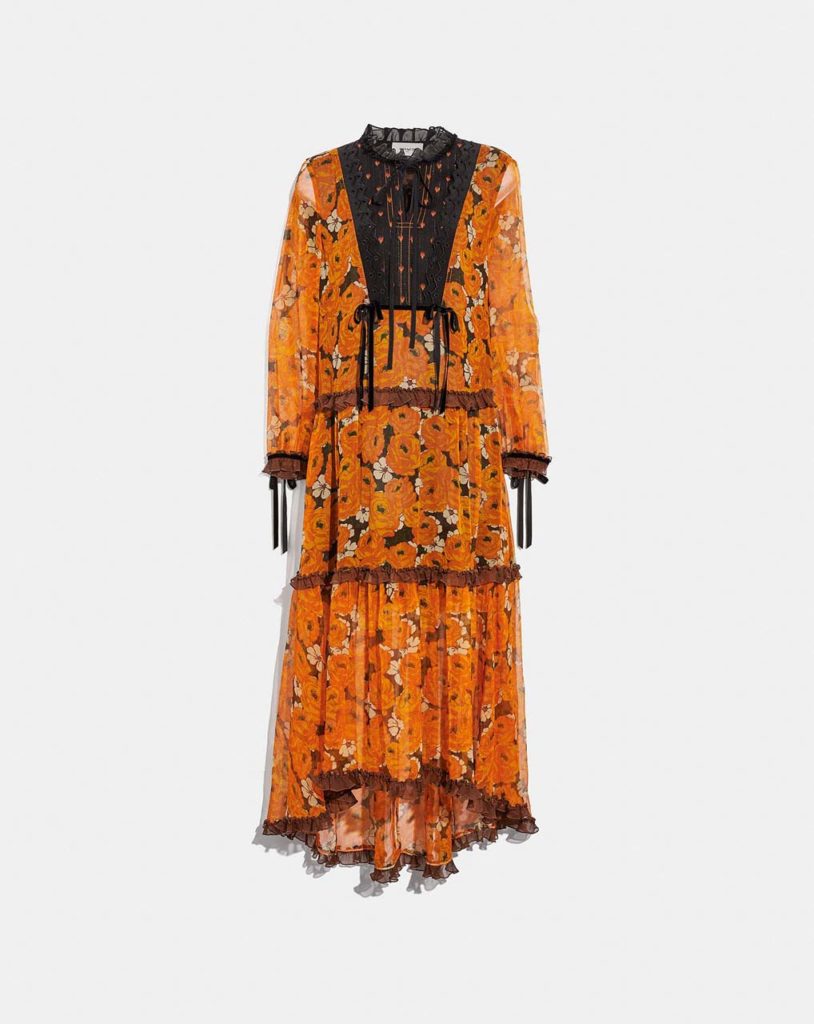 Coach Rose Print Tiered Dress2_1